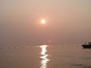 晨光