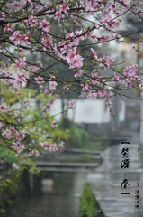春