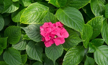 L9996300