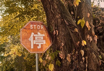16522DC1-42C1-445A-90B2-AF7992F8EBBB/L0/001
