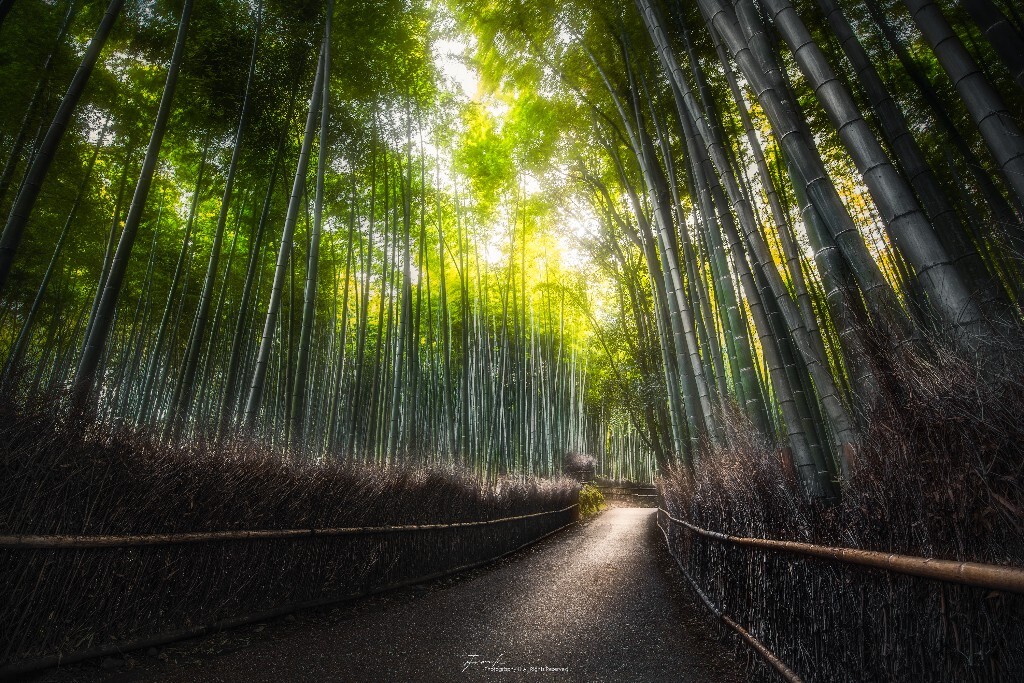 嵐山 / 京都