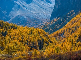 14-11-25_0352