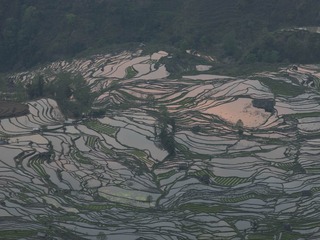 A0001009