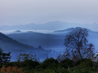 14-8-20_03117