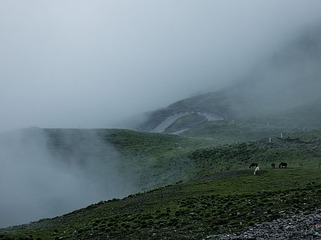 20140710-various_0014