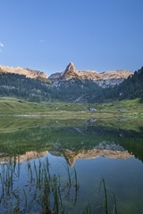 DSC01796-2