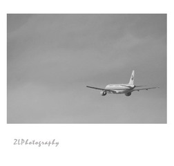 IMGP3907.jpg