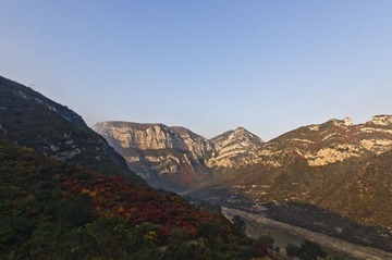 DSC03081_1