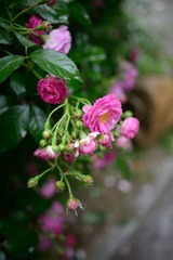 DSC_6015_02