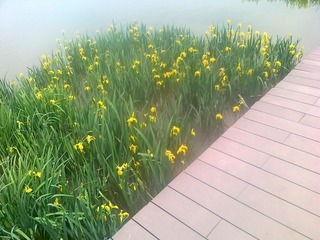 201105141101