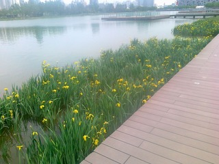 201105141102