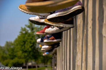 DSC_0319-1