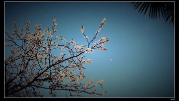 春暖花开