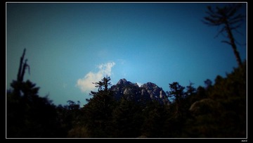 遥望巅峰