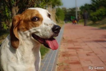 DSC03822_small