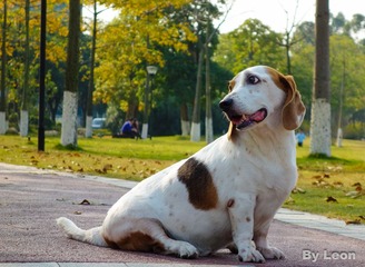 DSC03834_small