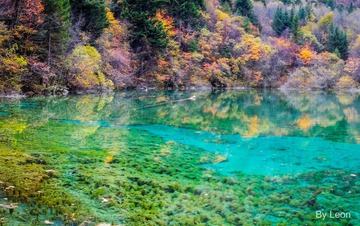 九寨沟06_small