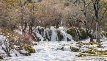 IMGP2856-恢复的-3-2