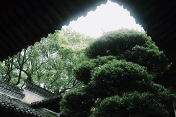 B5421A81-2A23-4239-8764-2E8755F76729/L0/001