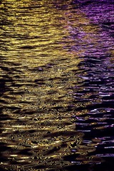 海河的水