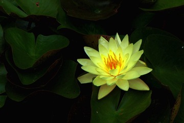 IMG_5203