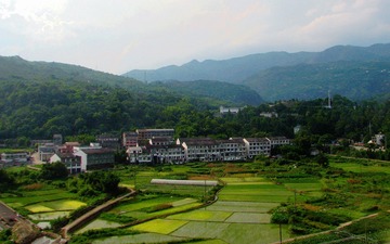 IMG_4947