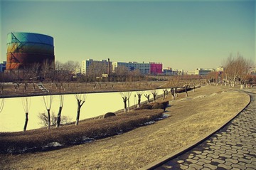 IMGP0736