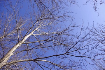 IMGP0743