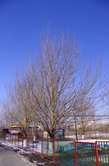 IMGP0756