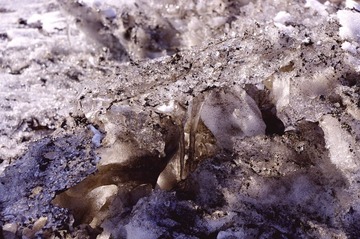 IMGP0780