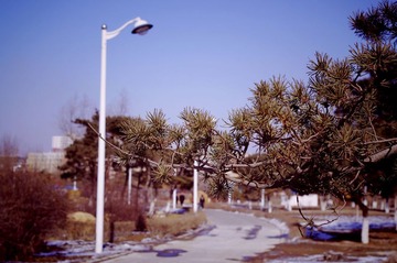 IMGP0786