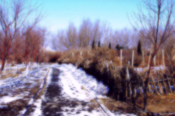 IMGP0787
