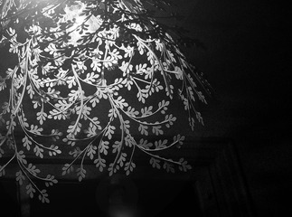 1P2170758.jpg