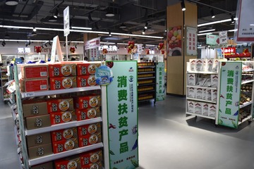 静冈县掠拍