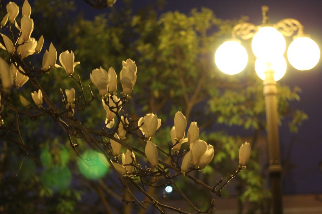 不断尝试，失败