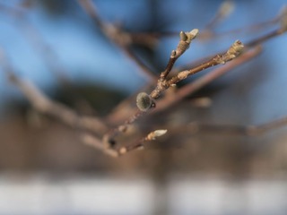 P1270291