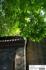 R0010626