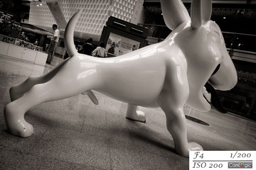 P8080081