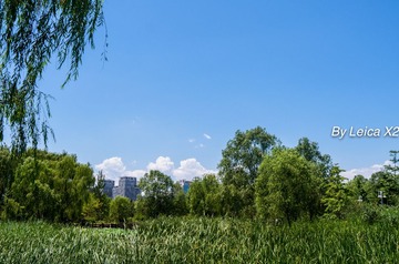 L2070320