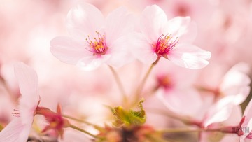 9539F6C6-54C5-44D0-9C28-8C136260F34F/L0/001
