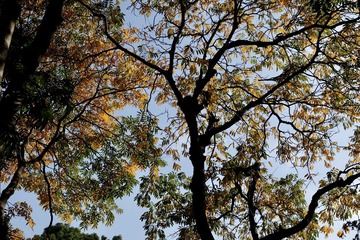 8D405F30-D556-498D-97E9-BB5DBDBB0E89/L0/001