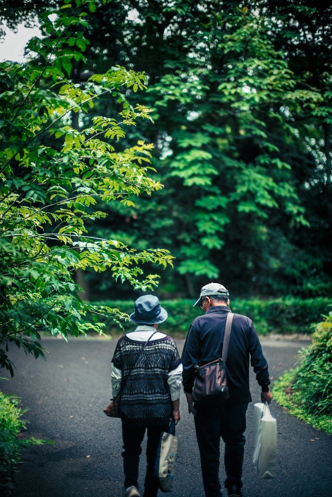 于日本皇居。