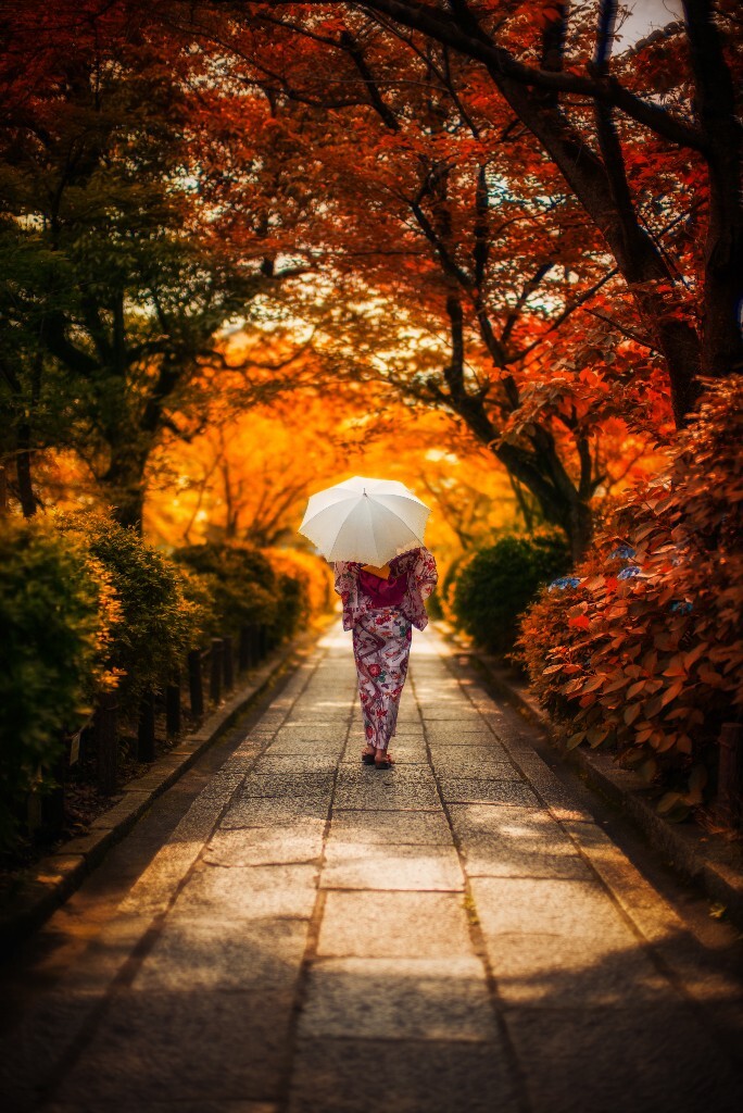 京都一瞬。<br />
虽然我从未到过京都的秋天。<br />
但在我的梦里她一定比这还要美丽。