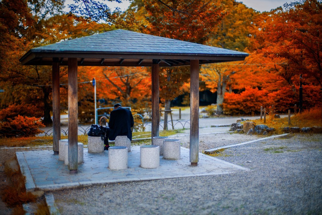 于京都。