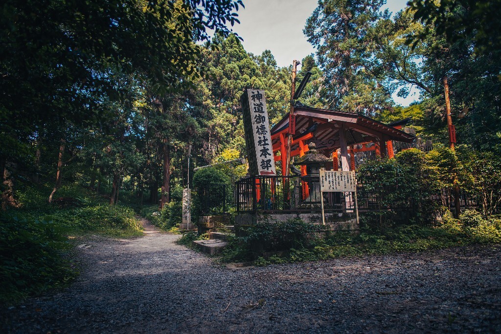于伏见稻荷山。