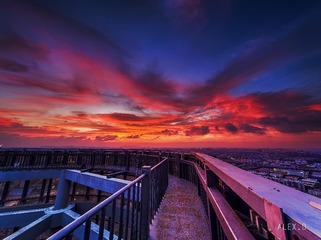 _MZ_7367r