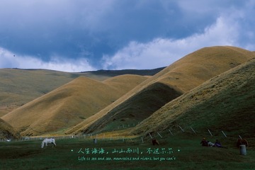 110B91B6-87E9-4C2D-BD79-77A5BBDF08F3/L0/001