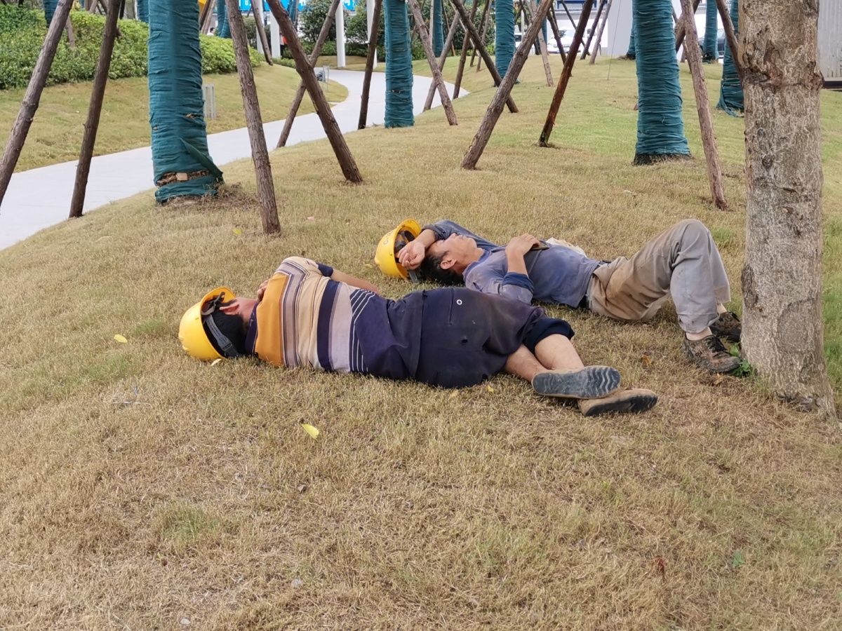 公园里面休息的工人