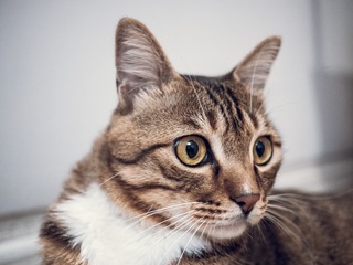 42830