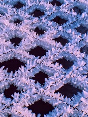 320073